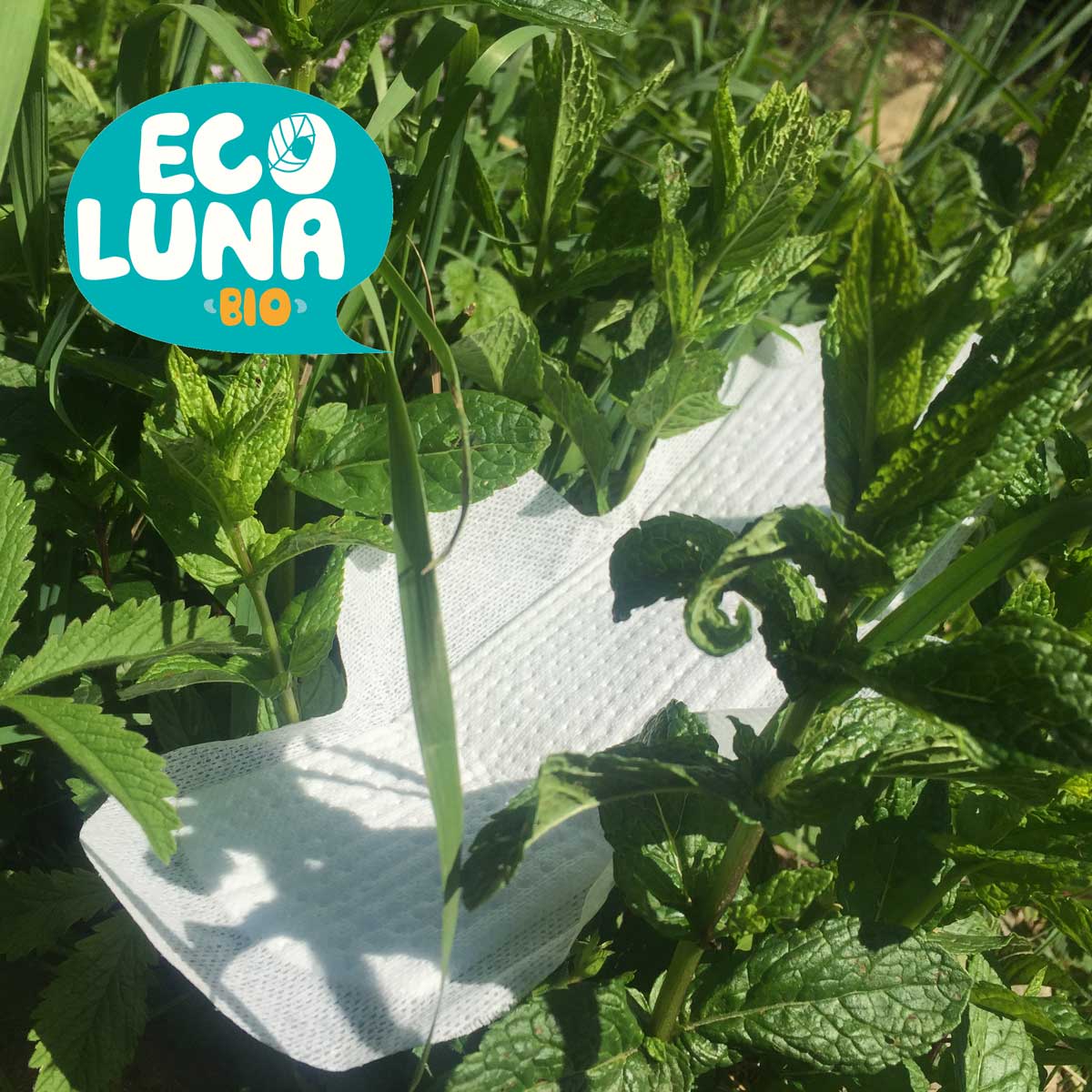 Eco Luna bio - salvaslip biologico - 20 pezzi - immagine 4