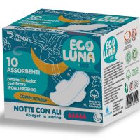 Assorbente notte con ali - Eco Luna