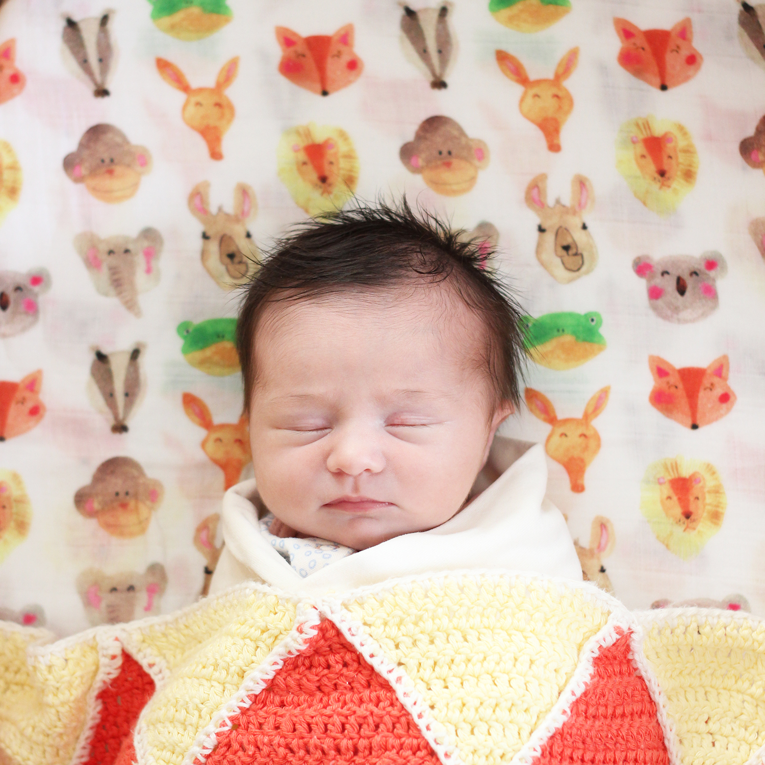 Mussola di cotone - The Fox in the Attic - immagine 6