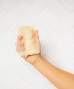 spugna di luffa ecologica