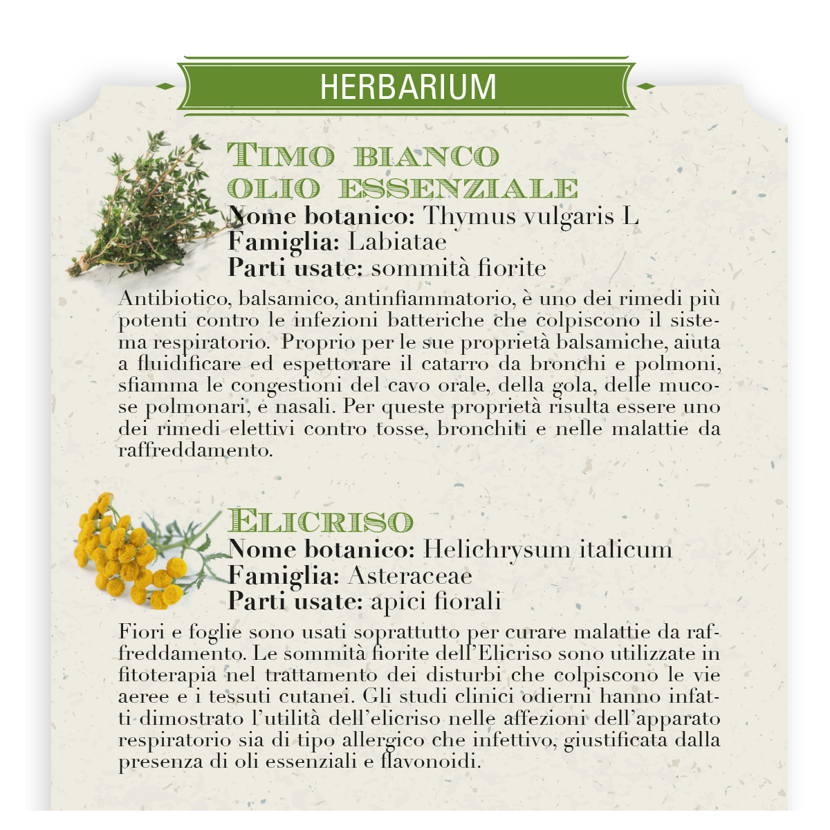 Timo Bianco - Helan - immagine 4