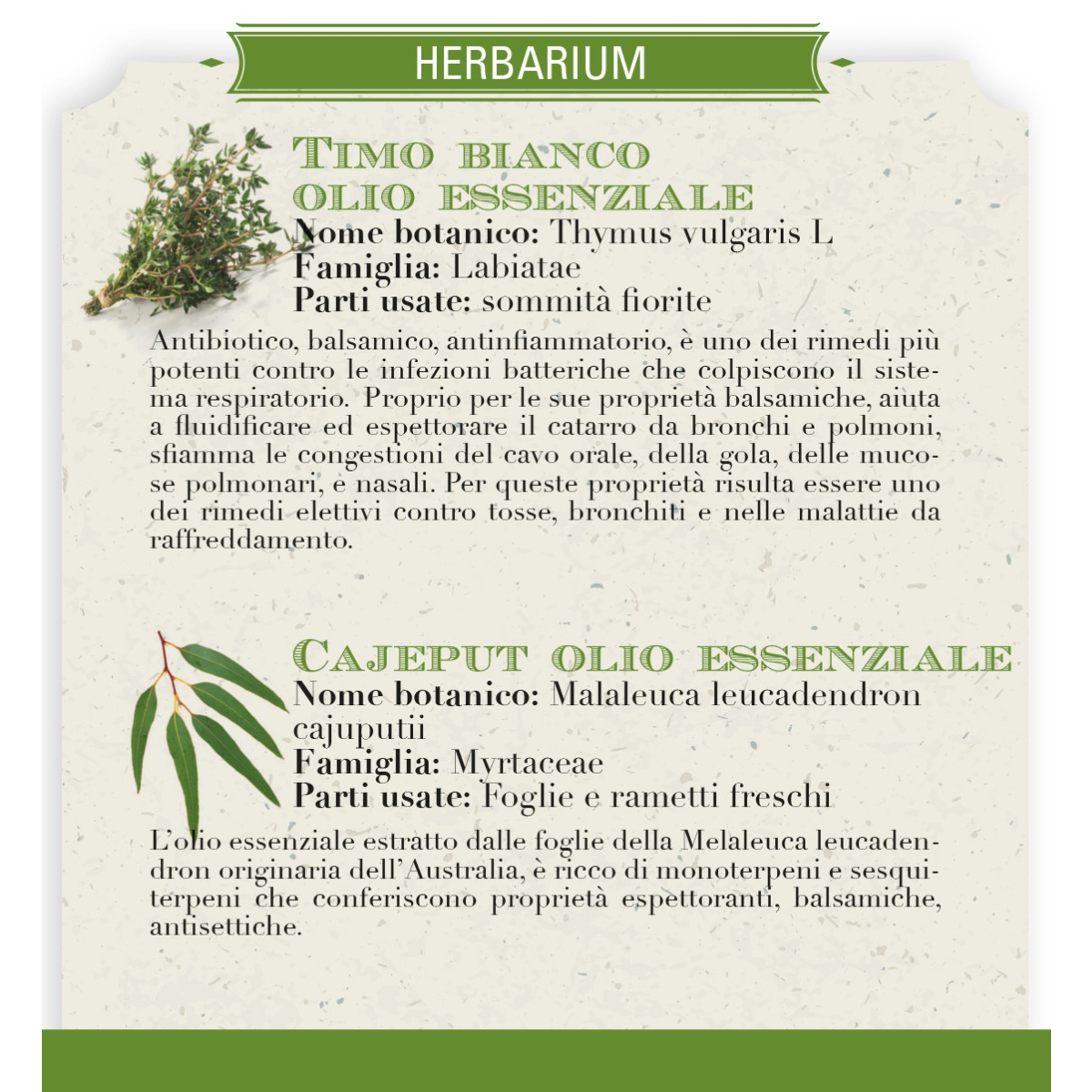 Timo Bianco - Helan - immagine 3