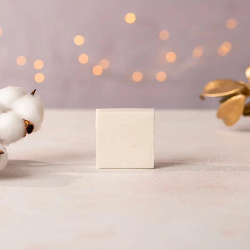 Eco Kit Casa e Piatti - Solara - immagine 7