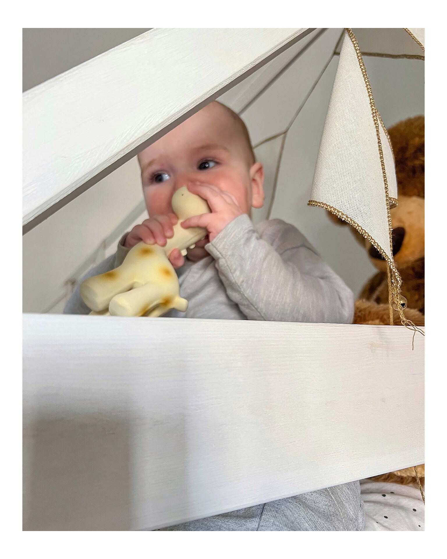 Pupazzi 3-in-1 My First zoo - Tikiri - immagine 2