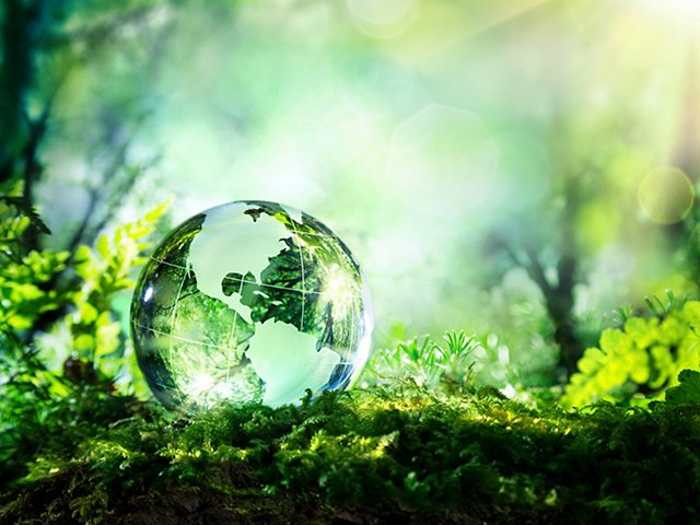 giornata mondiale della terra