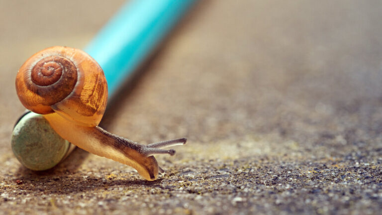 Il mondo slow di Freenappy