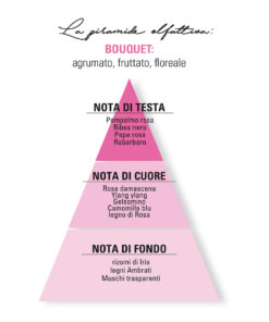 piramide olfattiva