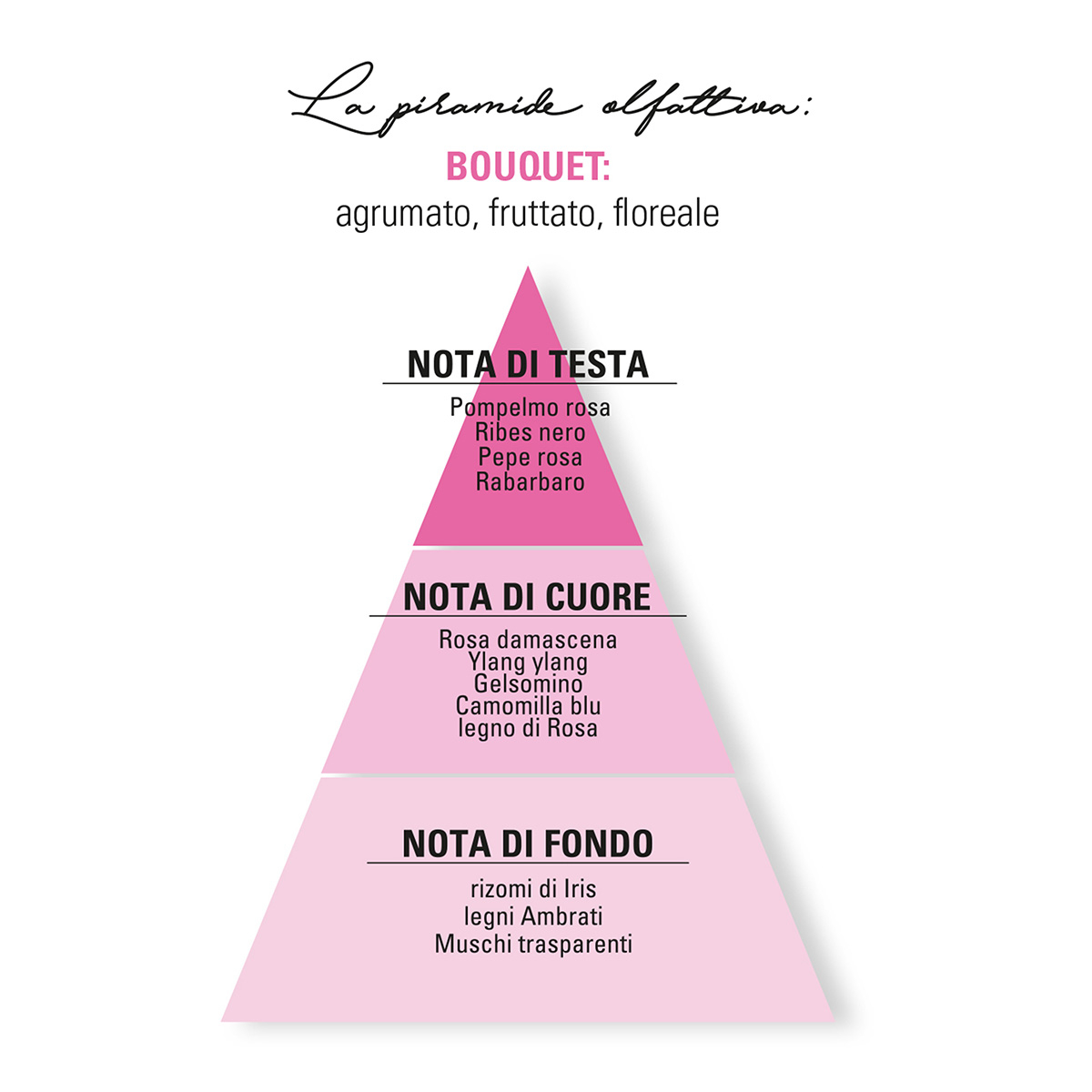 piramide olfattiva